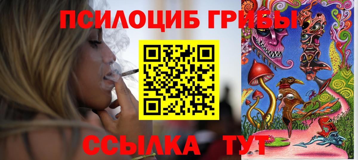 Псилоцибиновые грибы ЛСД Холмск