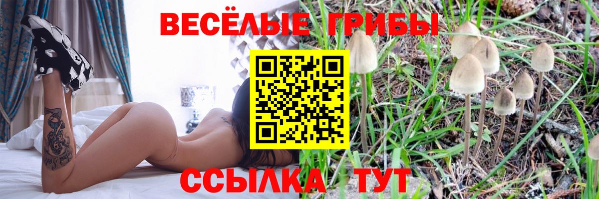 Холмск  Псилоцибиновые грибы Magic Shrooms  Галлюциногенные грибы Magic Shrooms  Вход с VPN 